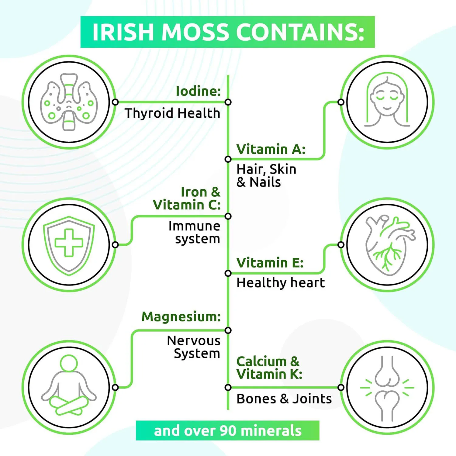 Cross-border Sales of Nori Softgel Support O EM Source Manufacturers Direct