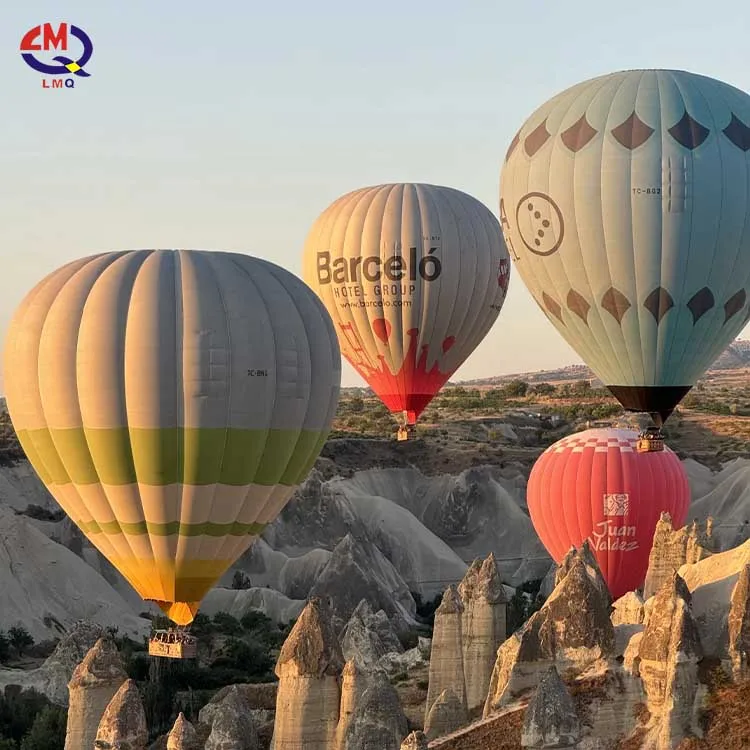 Limeiqi Entertainment Adventure Balloon Rides Inflatable Hot Air Balloon