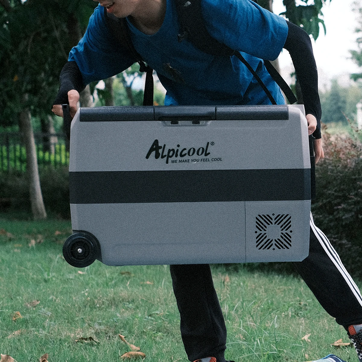 T50 AC/DC 12v 24v 100-240v Alpicool compressor portable camping car fridge refrigerator freezer car and home dual use