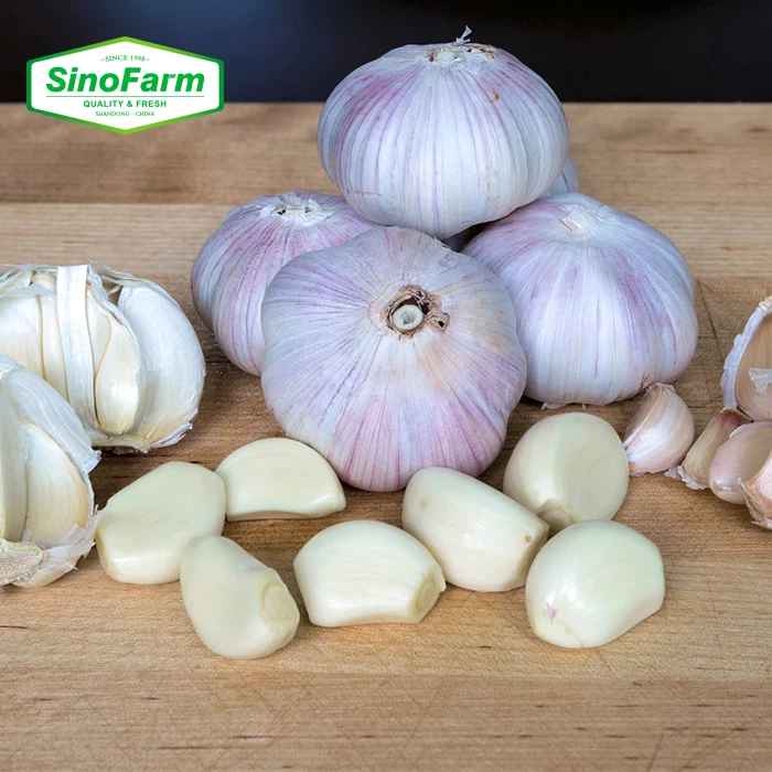 China Fresh Peeled Garlic Cloves Manufacturer Wholesale Garlic Peeled Packed In Vacuum Nitrogen Bag And Jar
