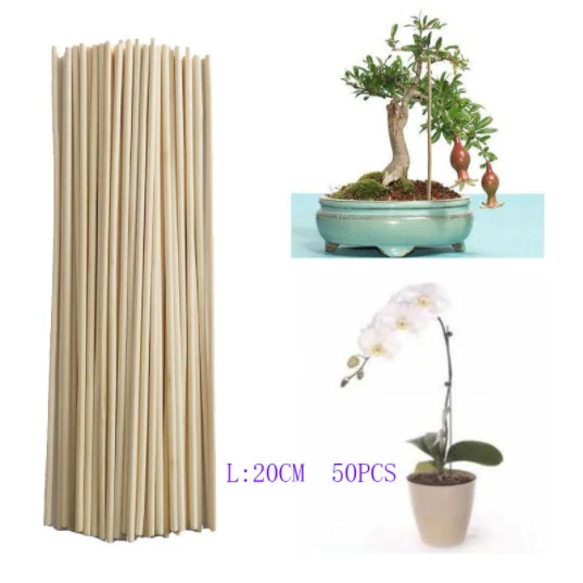 Plants grow and support bamboo sticks