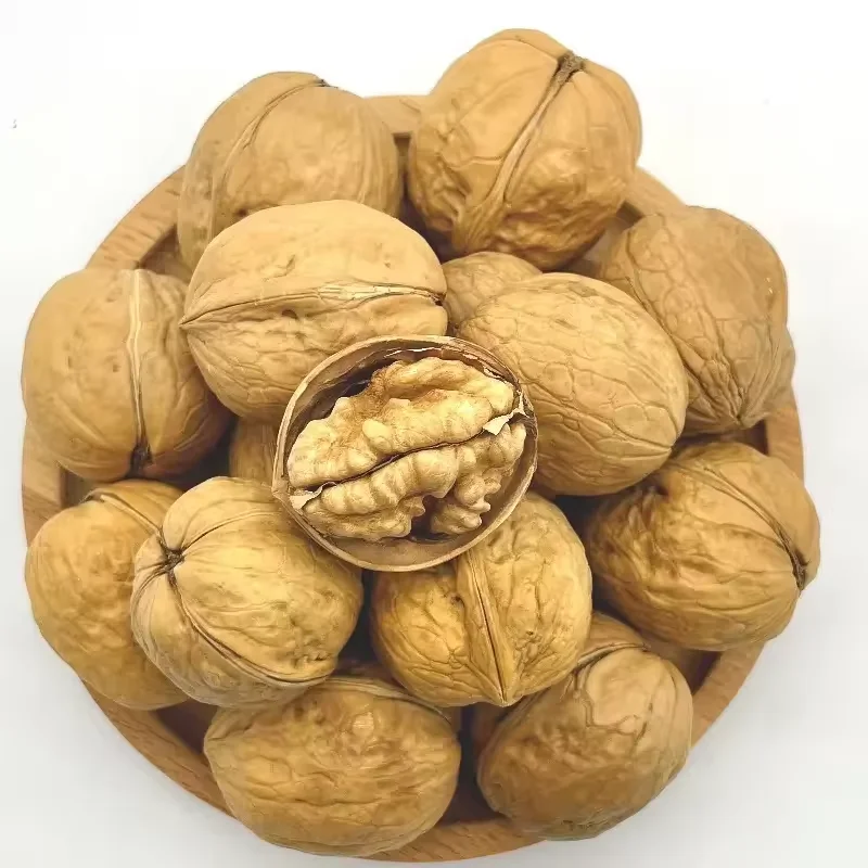 Natural raw walnuts in shell food grade healthy organic walnut nuts high quality dried walnuts for sale in bulk