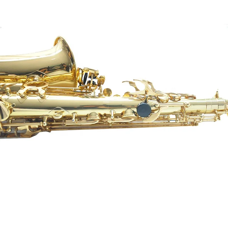 
Gold Lacquer Brass RMAS-710 Alto Instrument Professional Eb Tone Alto Saxophone 