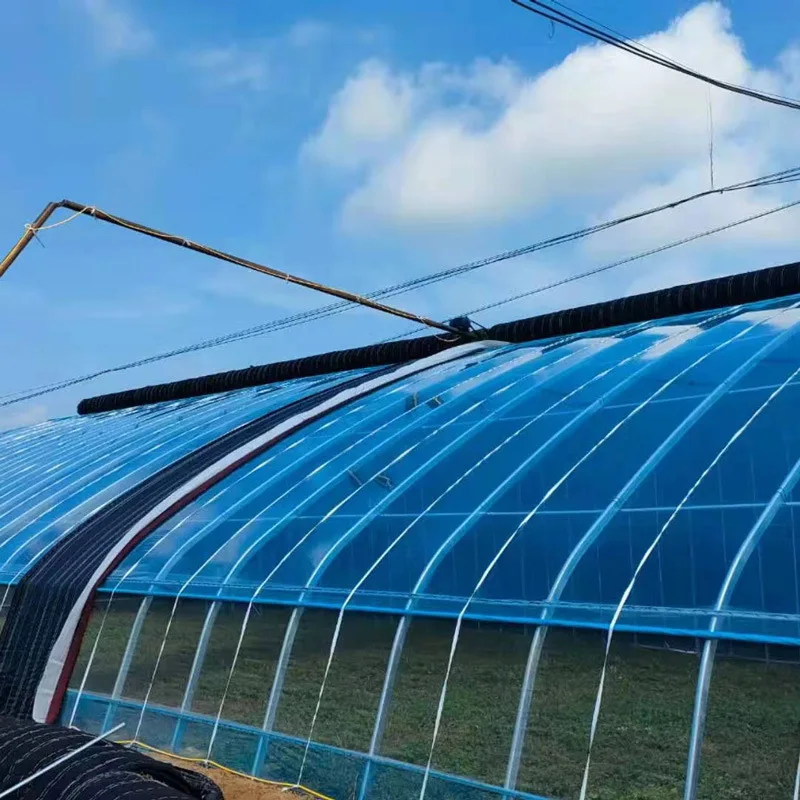 European and American hot wholesale price low-cost( film + framework)agricultural greenhouse