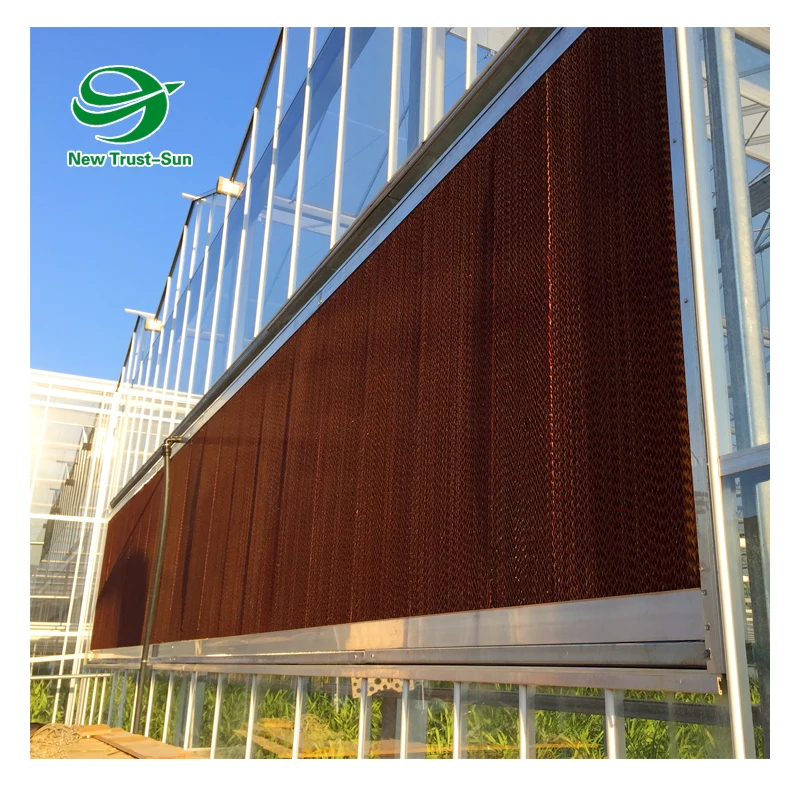 
High quality polycarbonate sheet tropical greenhouse for tomato cultivation 