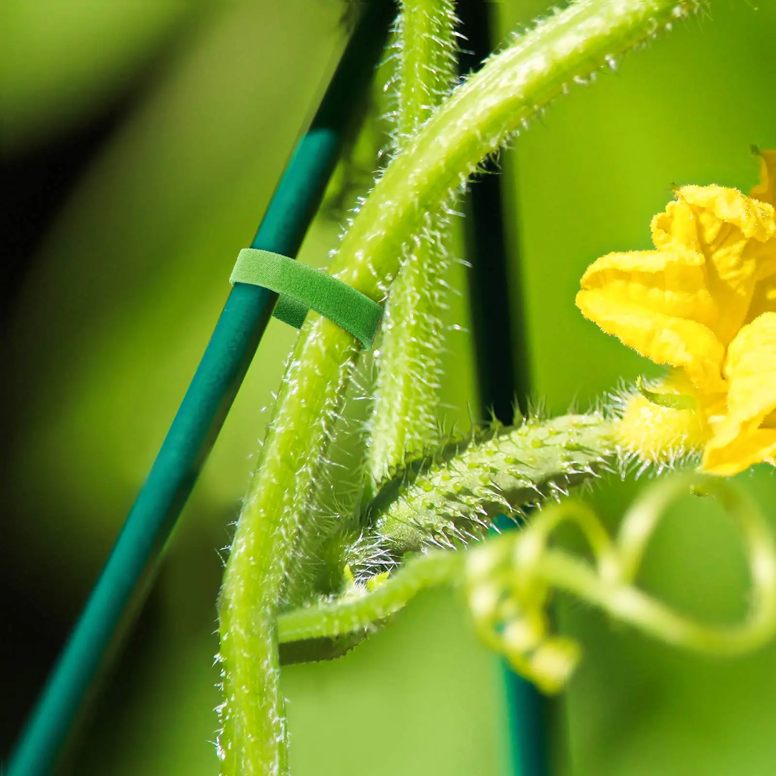 Hot Selling Plant breeding Adjustable reusable environment-friendly garden heat-resistant nylon back to back tie hook and loop
