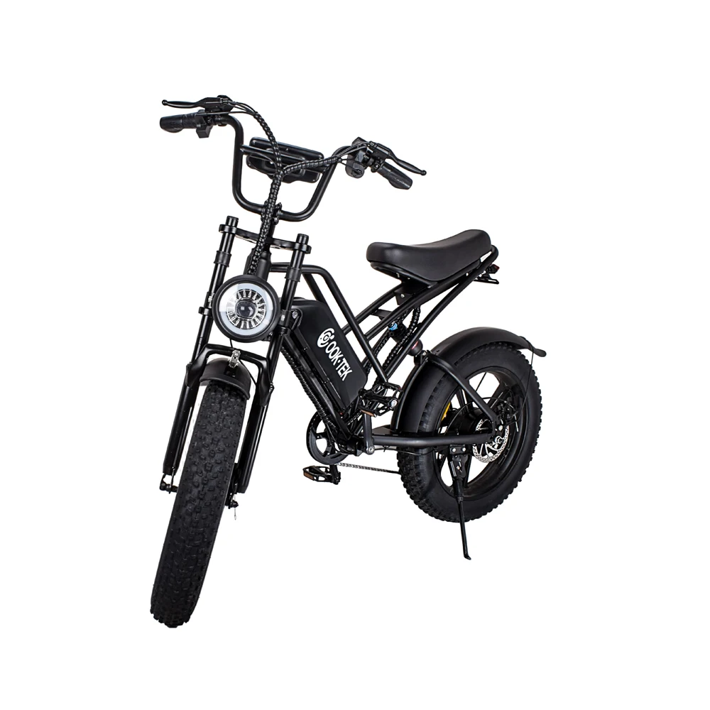 UL CE certification two wheels electric bike 750W folding 7 Speed fat tire ebike removeable battery 48V15ah Electric bicycle