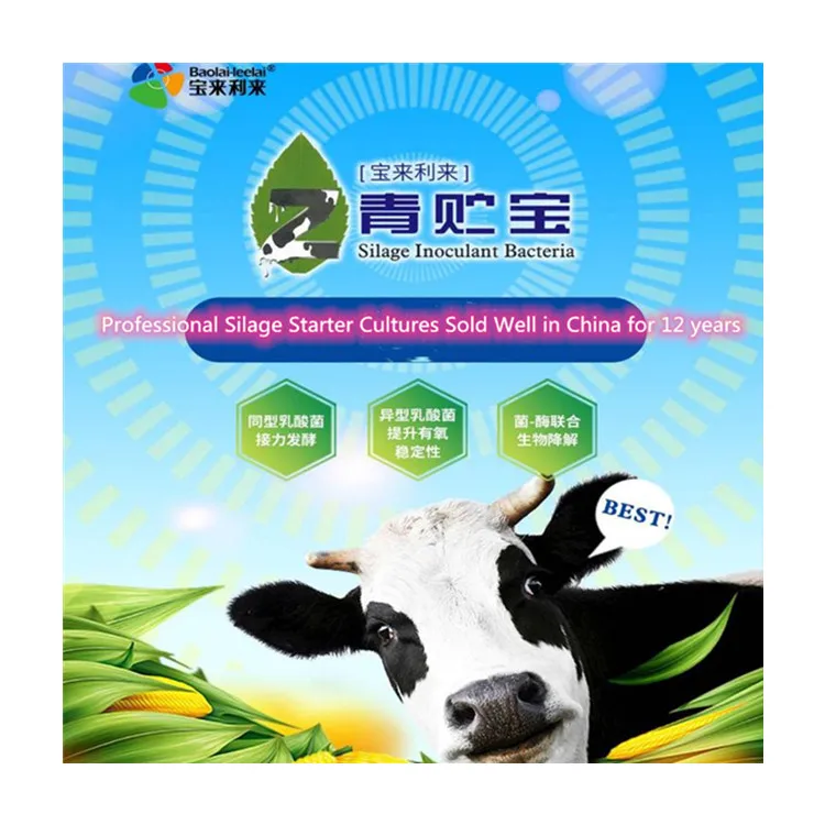 
Top Quality 2020 Hot Sale Feed Premix Probiotic Silage Inoculant For Ruminant Feed 