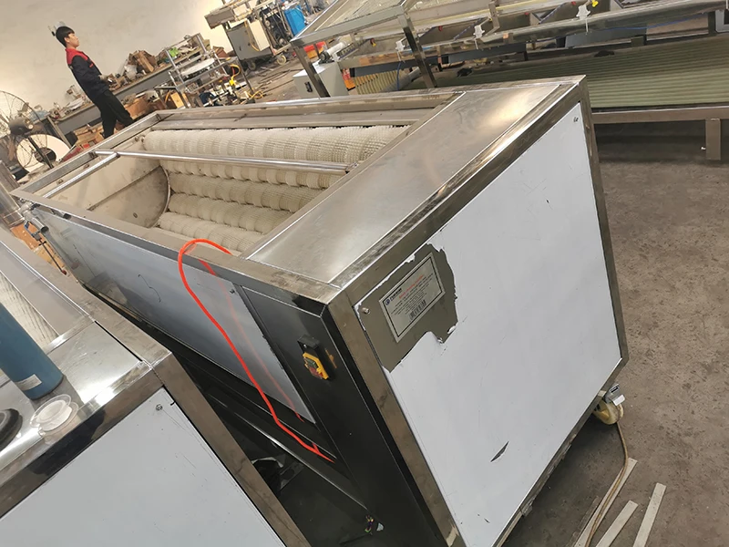 Automatic potato ginger brush washing peeling cleaning machine