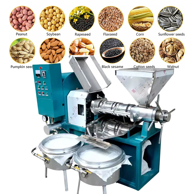 Automatic Oil Press for Multi Purpose Soybean Sunflower Peanut Pressing Machine