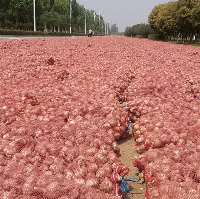 Where To Buy Wholesale Chinese Price Garlic Kating