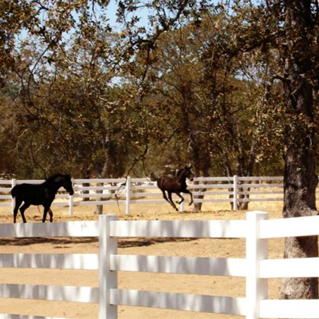 China Supplies High Quality Low Cost UV Resistant Racecourse PVC Horse Fence With Gates