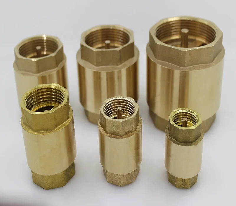 
Otore 1 Inch Brass Spring Check Valve Non Return Valve 