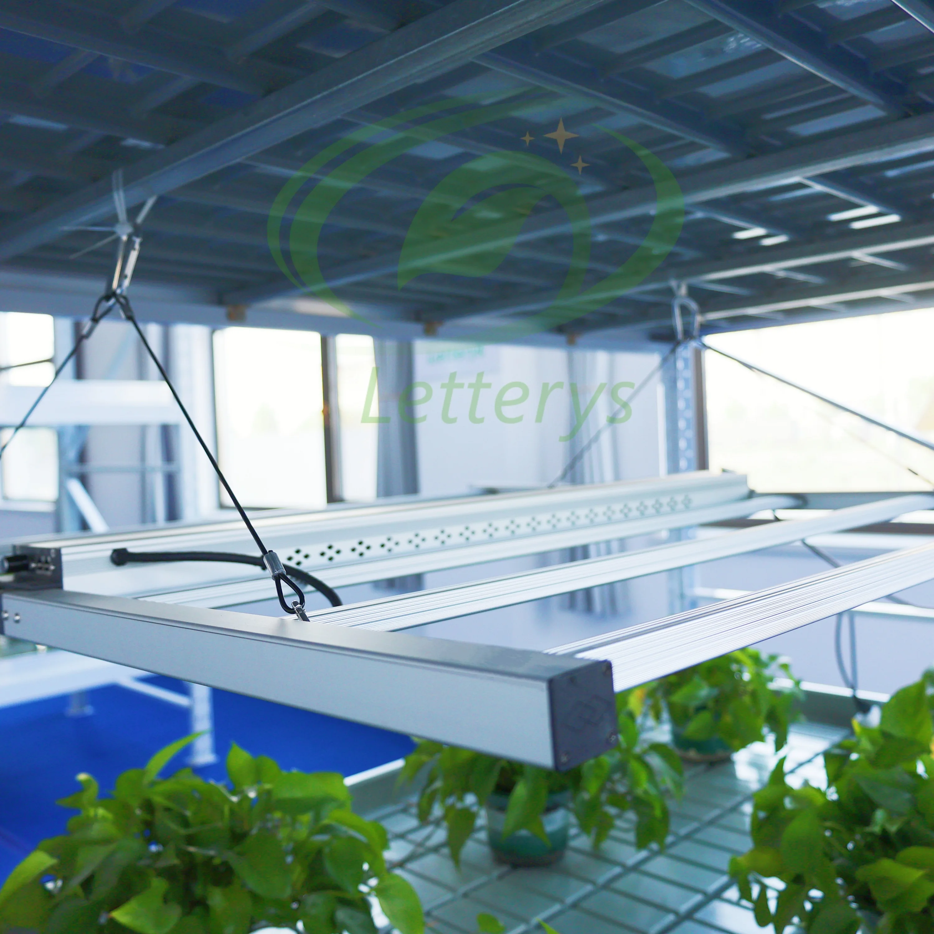 Agriculture Equipment Vegetables Cultivate Greenhouse Grow Table