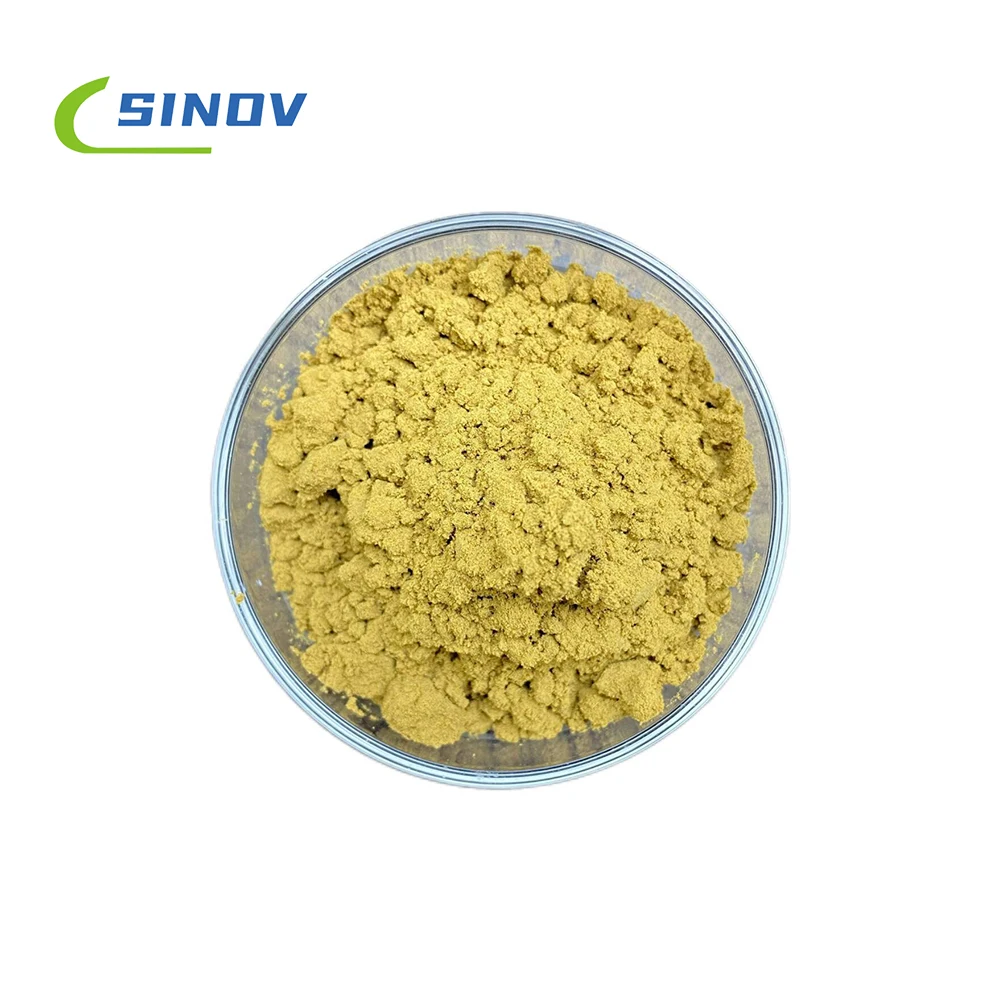 Экстракты Coleus forskolin высшего качества сырые Порошковые экстракты профессиональное производство