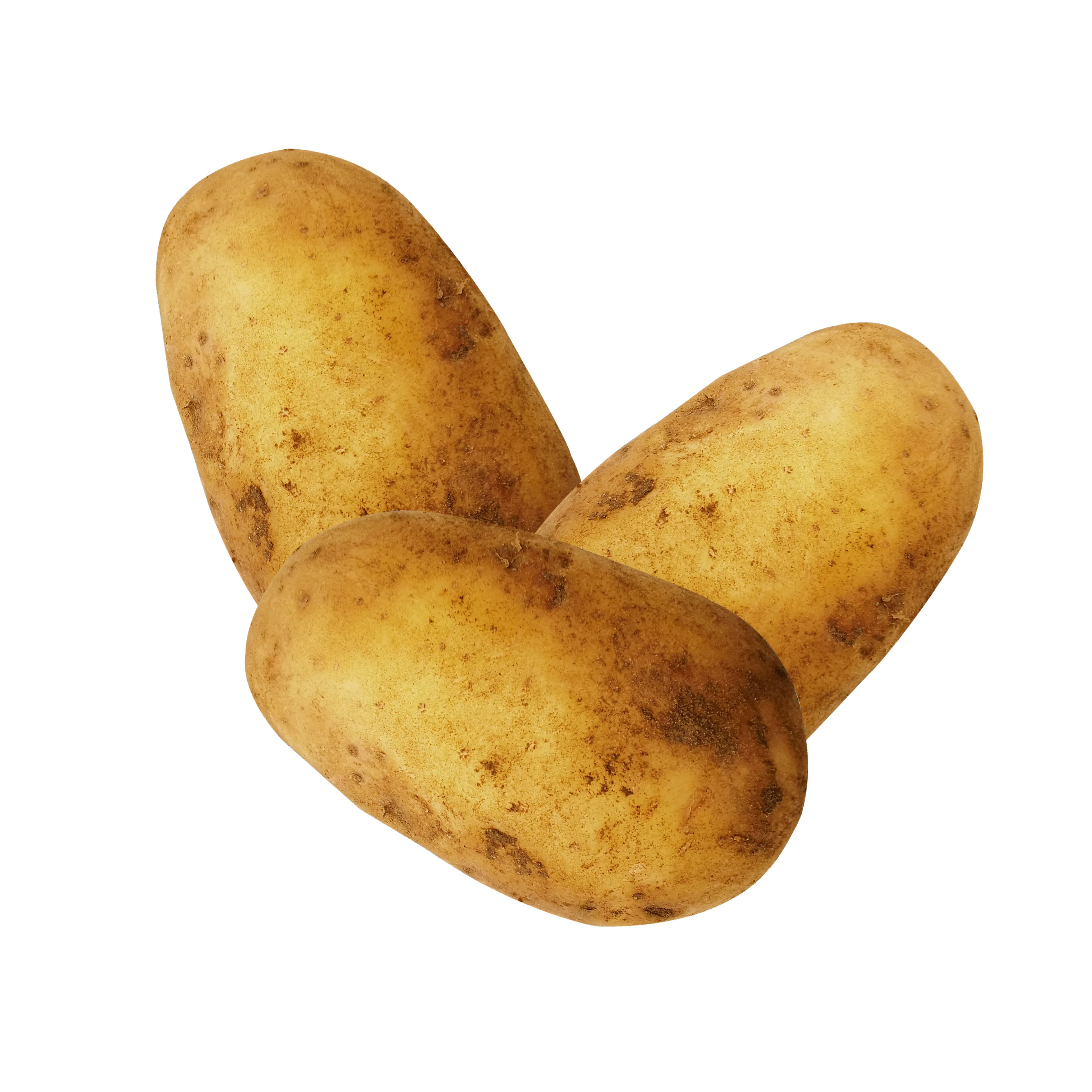 Round Potaoto Bulk Potato 100g-250g Delicious Newest Year 10 Tons 100% Maturity 0.3 K