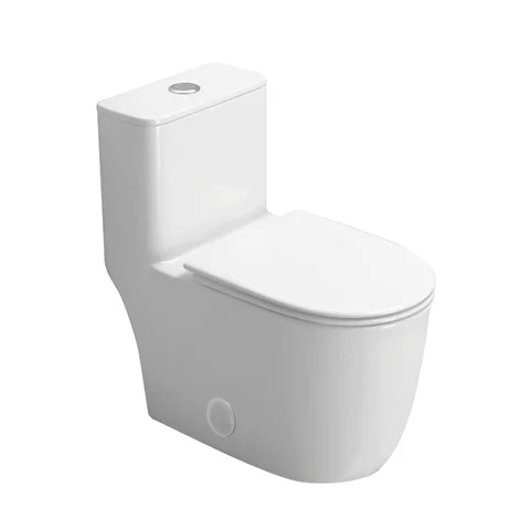 Современный элегантный Туалет с двойным смылом цельный настенный из ПНД новый продукт одобрением для ванных комнат США