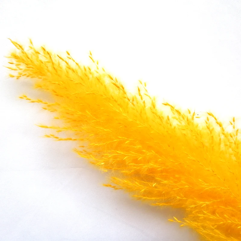 2021 amazon wholesale natural artificial flowers dried flower decorative flowers large pampas pampa grass