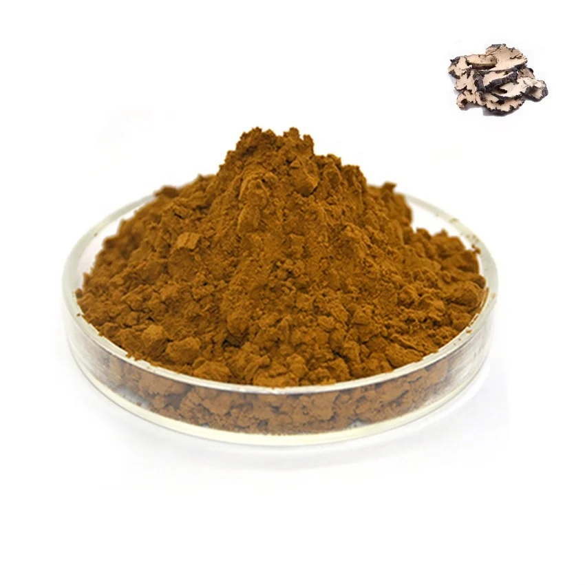 Fitness Supplement of Polyporus Umbellatus Herbal Extract Powder Organic Optimum Nutrition with Diuretic Effective