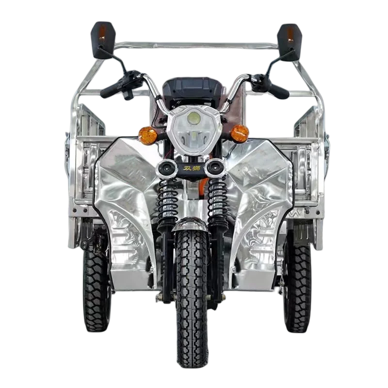 stainless steel electric tuk Truck Cargo Tricycle 2 Tons Van Cargo Truck