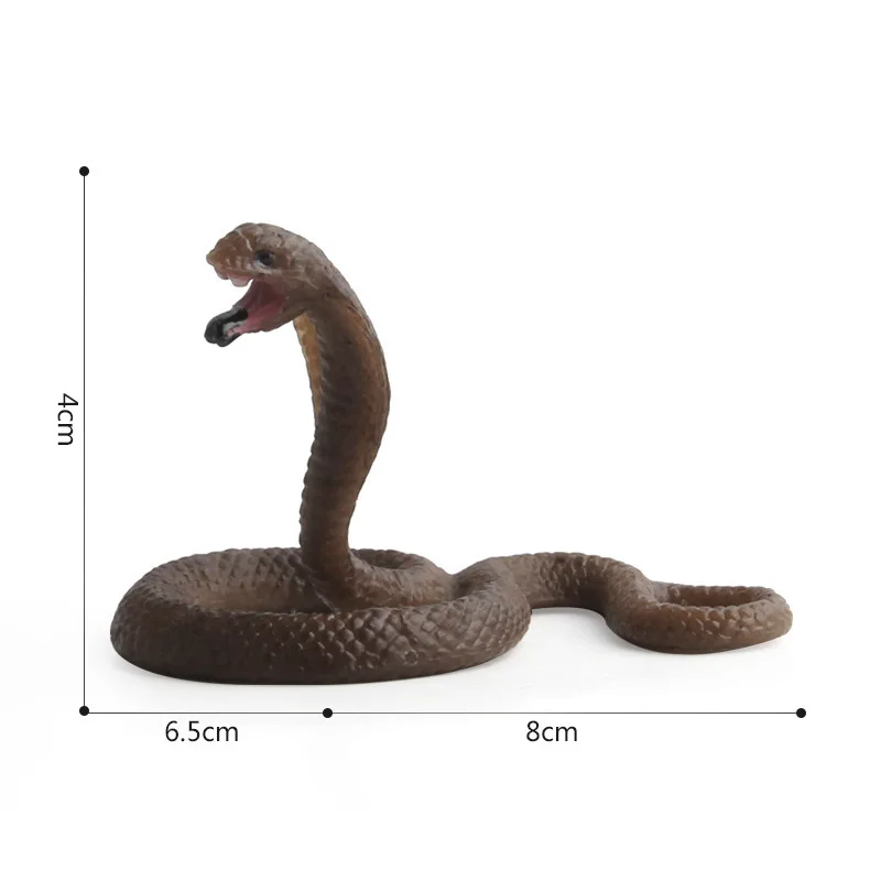 Discount Animated Insect Model Simulation Insect Animal Model Insect Pack Toy Model