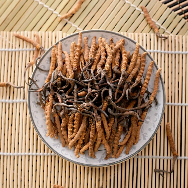 Solvent Extraction Tiens Cordyceps Mushroom Powder, Organic Cordyceps Militaris Mushroom