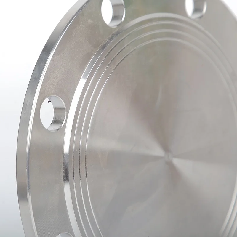 High-Quality Blind Flanges - SS304 & 316L | OEM Factory | ASTM A182 B16.5 Forged Flanges