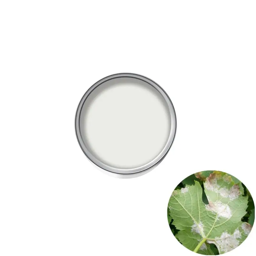 
2020 Professional Pyraclostrobin+Cyazofamid 24% Sc Pyraclostrobin 20%+Cyazofamid 4% Factory Supply For Wholesales 