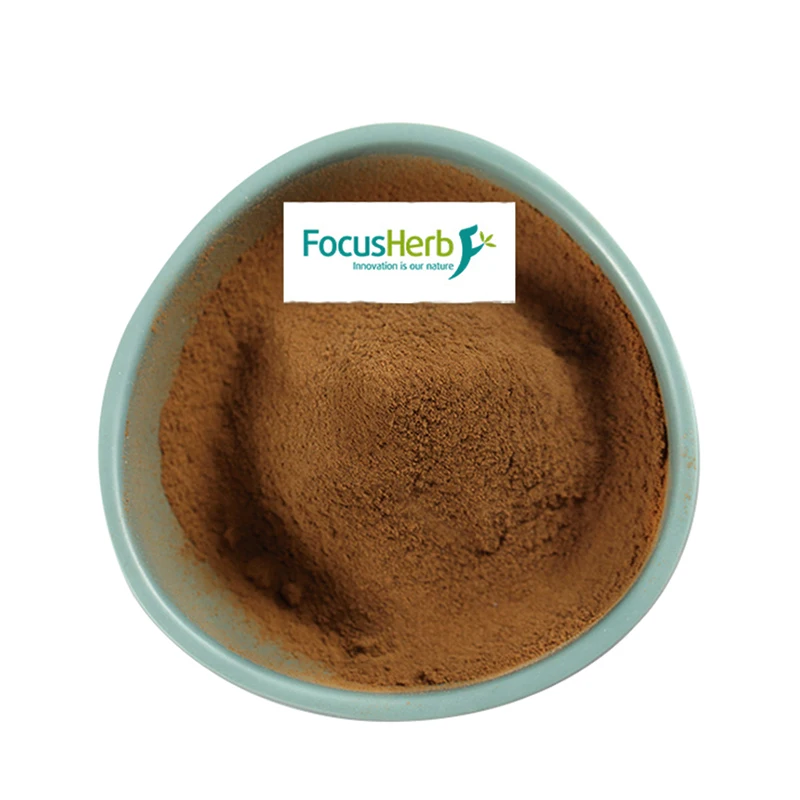 
FocusHerb Ajuga ciliata Bge Ajuga Turkestanica Extract Turkesterone 