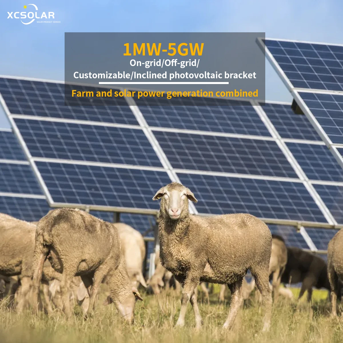 Solar Panel Off Grid Container with Lithium Batteries Farm Hydroponics Growing System 1mw 100kw Solar Power Plant 100mw//
