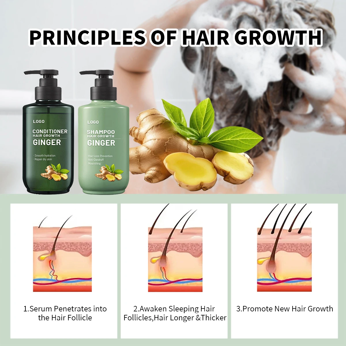 Private Label Vegan Ginger Shampoo Conditioner Organic Collagen Anti-Hair Loss Set Nourishing Moisturizing Smoothing Adults
