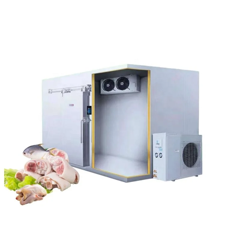 Walk in Freezer Room Cold холодильное хранилище для замороженного мяса морепродуктов овощей и фруктов на