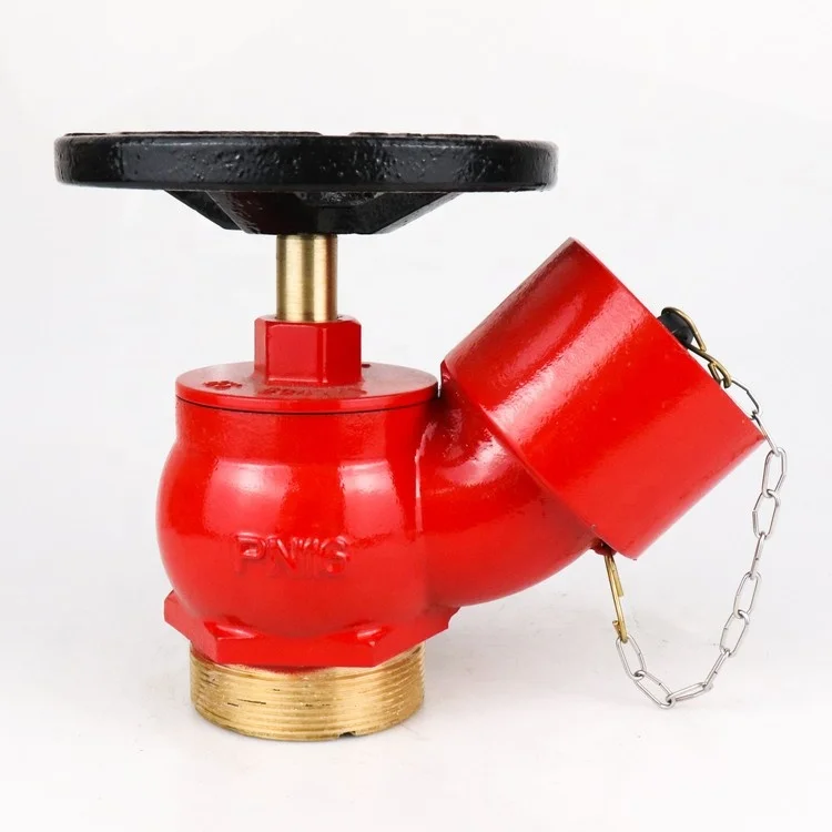 2.5 Inch BSP Thread BS336 Standard Oblique Fire Hydrant Landing Valve BS336  Firefighting Valve