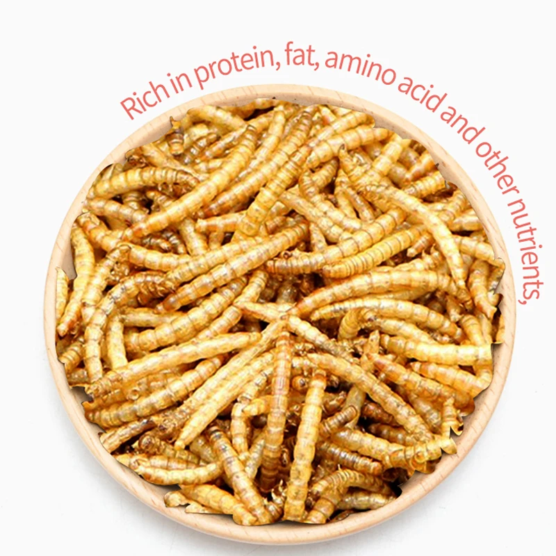 Yee -Wholesale small pet Food Hamster Freeze Dried Dried mealworms Treats Small Pet Snacks