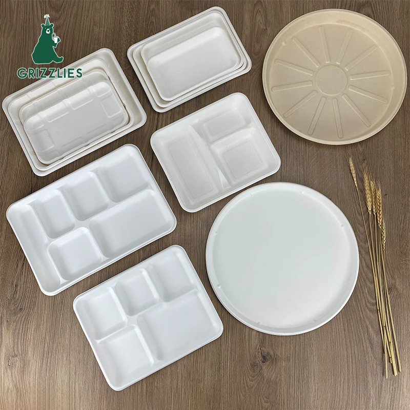 Biodegradable Rectangular Food Tray Supermarket Meat Tray Eco-Friendly Plates for Buffet and Party Bagasse School Lunch Tray