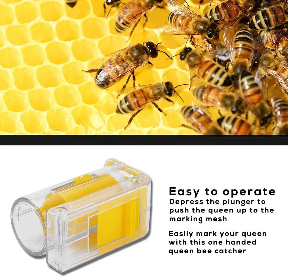 Beekeeping equipment tool queen bee rearing marking bottle