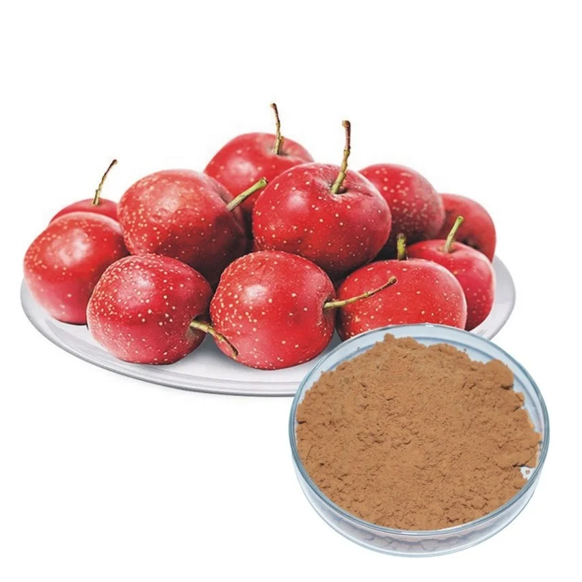 100% Pure Herbal Hawthorn Extract For India