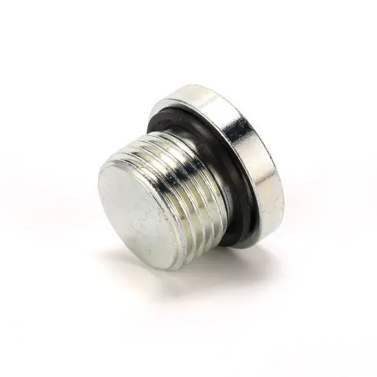 4BN-WD BSP Hydraulic Hollow Plug Stainless Steel Carbon Steel Male BSP Threaded Metal Hollow Hex Plug