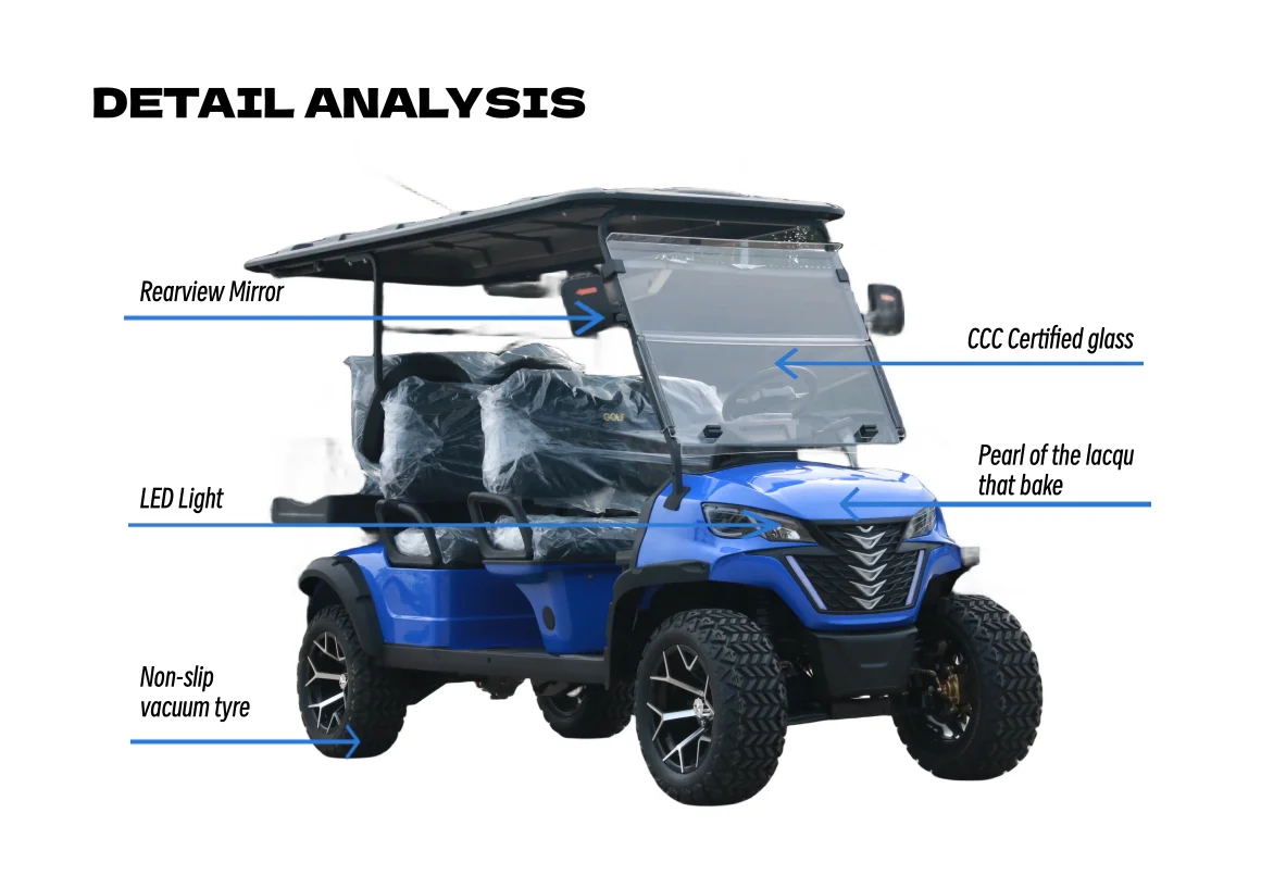 Street legal electric lithium battery golf cart electric golf cart for daily use