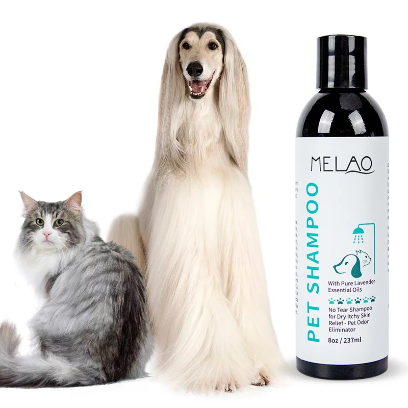 Private label/MELAO antiparasitic dog pet dry shampoo foam