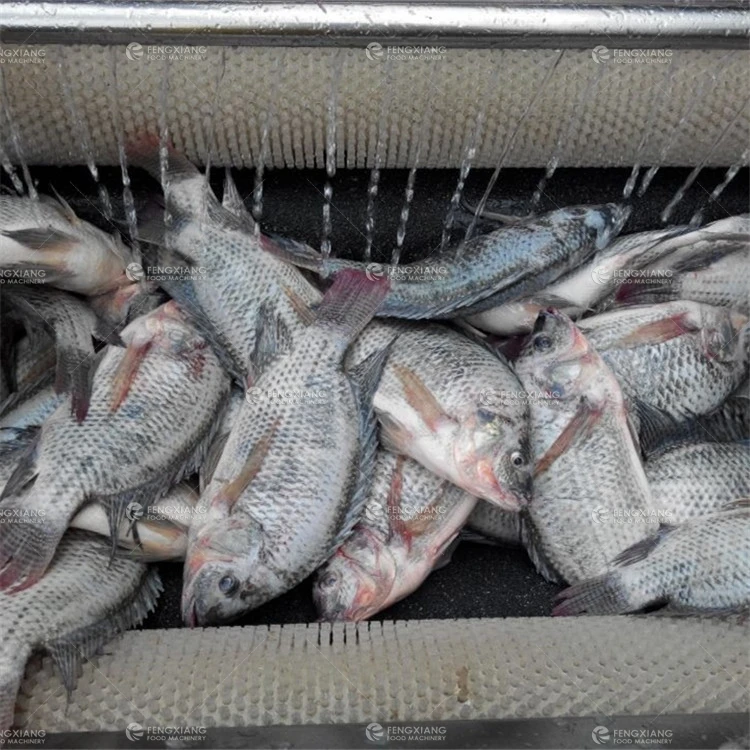 MSTP-1000 Large Output Sweet Potato Cleaning Washing and Peeling Machine