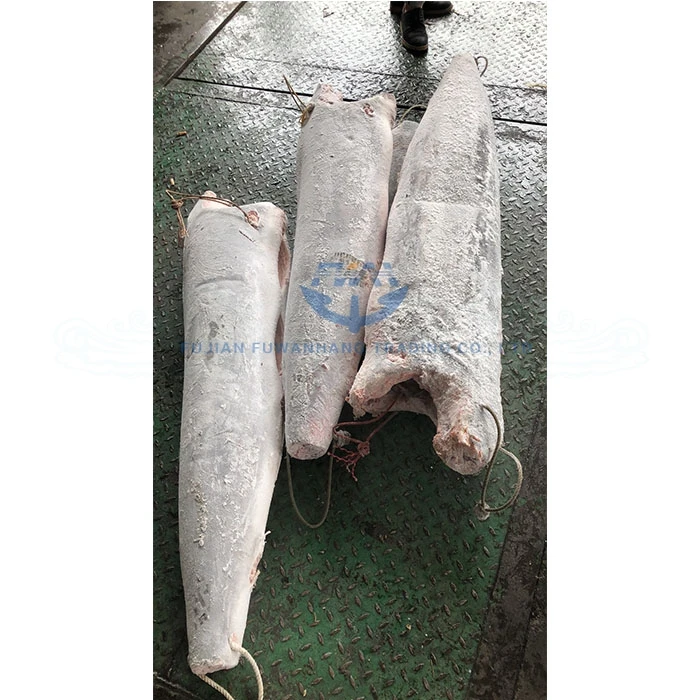 Hot sale HGT black marlin fish frozen marlin tuna