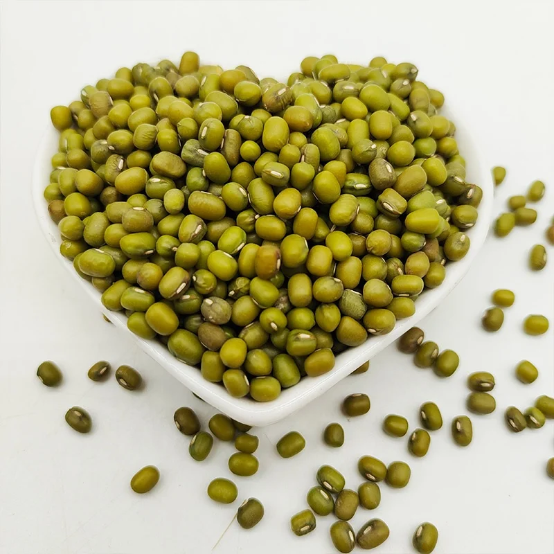 Без ГМО высокая скорость проращивания фасоль виноградника зеленая мунг зеленые граммы семян сушеная для продажи