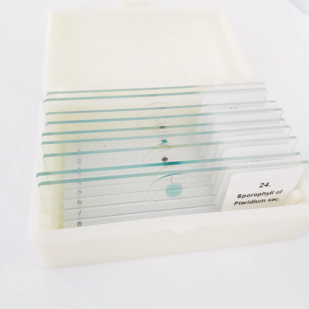 pathological parasitic microscope slide set for medical education research