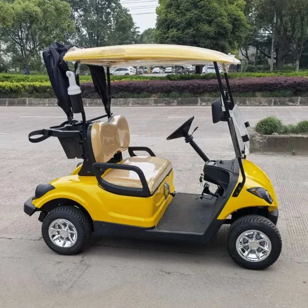 4 wheel 2 seats mini ezgo gasoline golf cart made in China