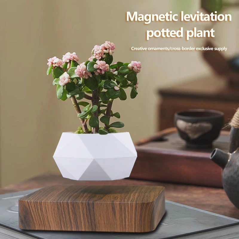 Magnetic Levitating Flower Pot Levitating Plant Pot for Plants Bonsai Planter Electric DIY flower pot suspension