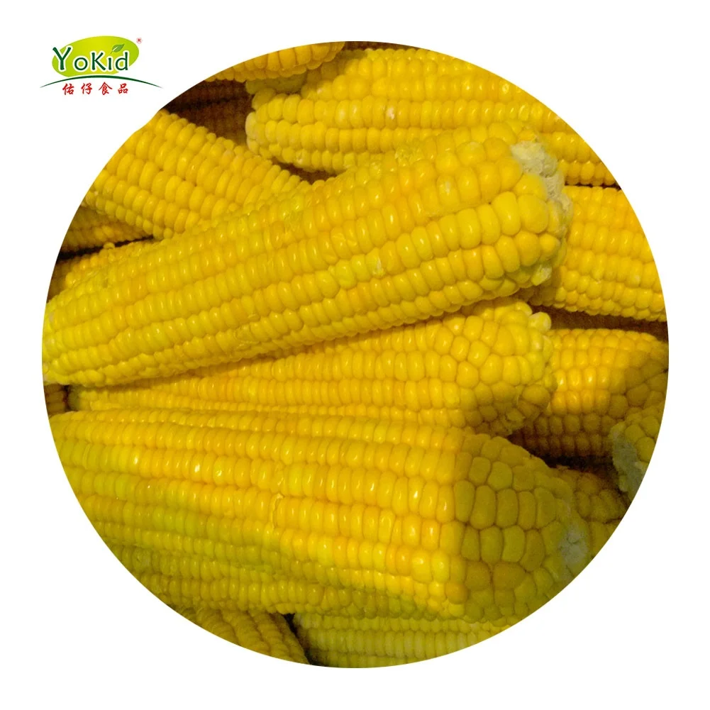 Sale Bulk Good Quality Frozen Whole Peeling Sweet Kernel Corn Cobs In Pack (1600107265089)
