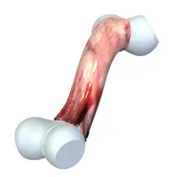 Dog Toothbrush Stick durable bone toys dog chew Bones for Aggressive Chewers Large Breed