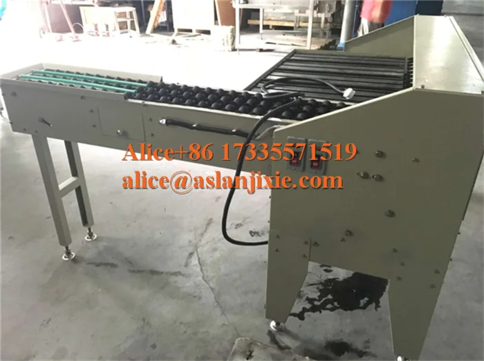 Egg plant egg grading machine/ goose egg weight sorting machine/duck Egg  size selecting machine