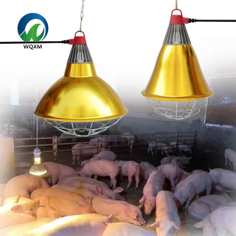 Animal Breeding Farm Equipment Waterproof Pig Metal Lampshade Frame with 220v Heating Lamp for Piglet for Home Use